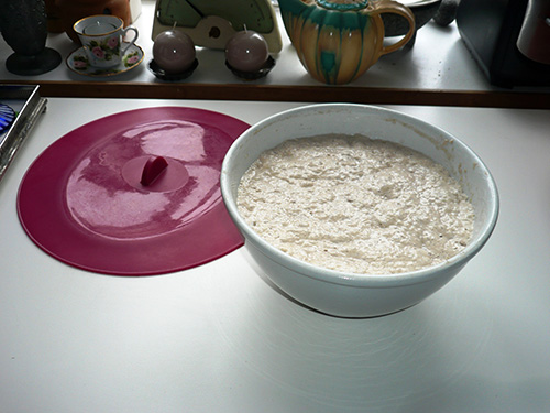 Bread dough rised and bubbled overnight